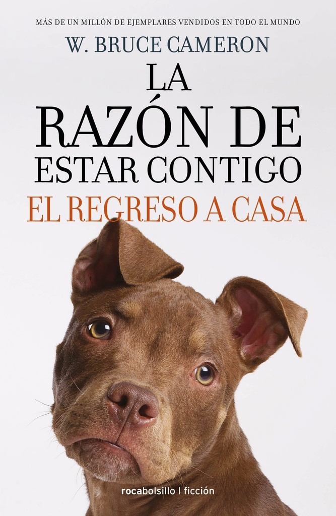 Razon de estar contigo, el regreso a casa
