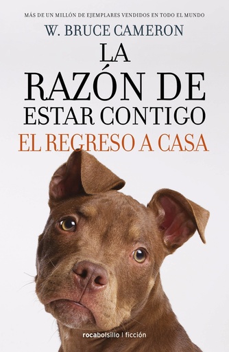Razon de estar contigo, el regreso a casa