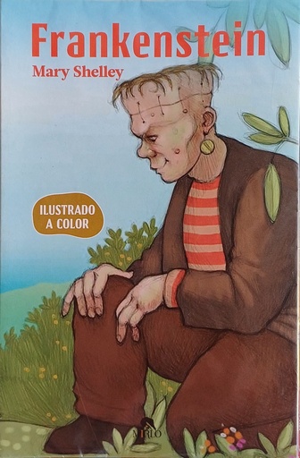 Frankenstein, para niños