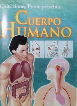 Cuerpo humano
